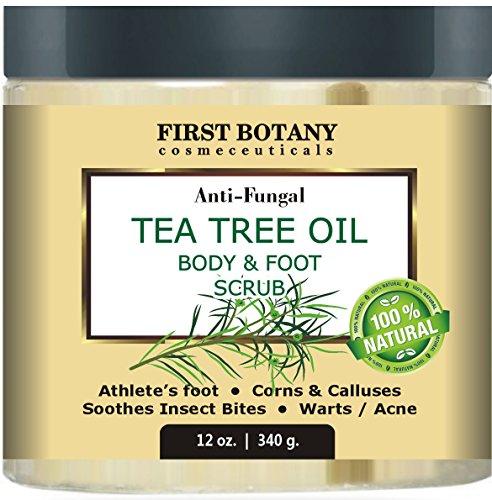 100% Natural Anti Fungal Tea Tree Oil Body & Foot Scrub 12 oz. with Dead Sea Salt - Best for Acne, Dandruff and Warts, Helps with Corns, Calluses, Athlete foot, Jock Itch & Body Odor Skin Care First Botany Cosmeceuticals 