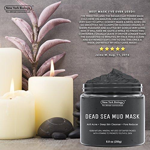 Dead Sea Mud Mask for Face & Body - 100% Natural Spa Quality - Best Pore Reducer & Minimizer to Help Treat Acne , Blackheads & Oily Skin – Tightens Skin for a Visibly Healthier Complexion – 8.8 OZ Skin Care New York Biology 