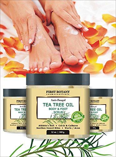 100% Natural Anti Fungal Tea Tree Oil Body & Foot Scrub 12 oz. with Dead Sea Salt - Best for Acne, Dandruff and Warts, Helps with Corns, Calluses, Athlete foot, Jock Itch & Body Odor Skin Care First Botany Cosmeceuticals 