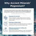 Ancient Minerals Magnesium Oil Ultra Spray with OptiMSM - Pure Genuine Zechstein Magnesium Chloride Supplement with MSM - Best Topical Skin Application for Dermal Absorption (4oz) Supplement Ancient Minerals 