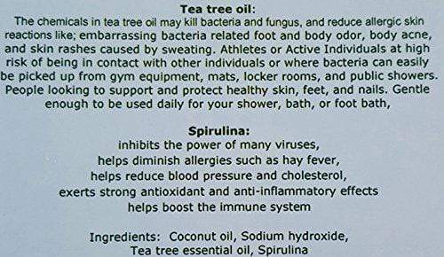 Tea Tree (10.5 oz) Pure Coconut Oil Soap with ORGANIC SPIRULINA. Handmade, Vegan, All Natural, Moisturizing, With AAA+ Therapeutic-Grade Australian Essential Oil Natural Soap Splendor Santa Barbara 