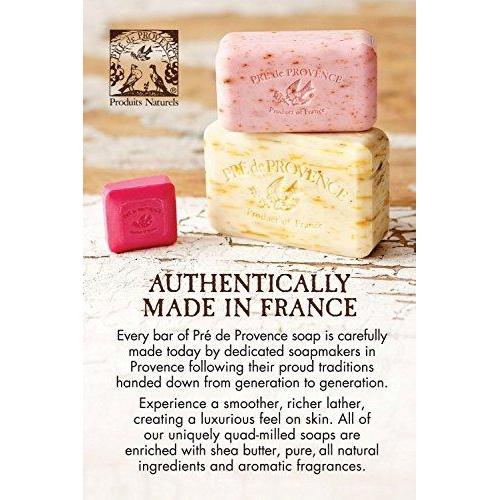Pre de Provence Artisanal French Soap Bar Enriched with Shea Butter, Quad-Milled For A Smooth & Rich Lather (150 grams) - Coconut Natural Soap Pre de Provence 