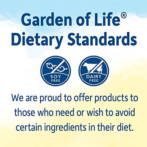 Organic Meal Replacement Supplement Garden of Life 