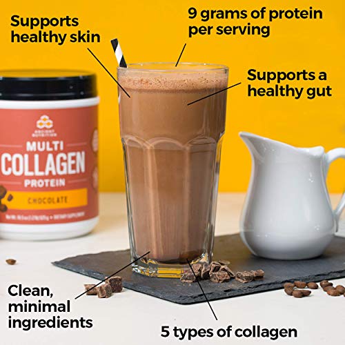 Ancient Nutrition Multi Collagen Protein Powder, Chocolate Flavor - 40 Servings Supplement Ancient Nutrition 