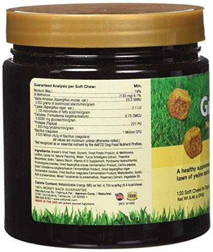NaturVet 120 Count Grass Saver Soft Chews Jar with Enzymes for Dogs Animal Wellness NaturVet 