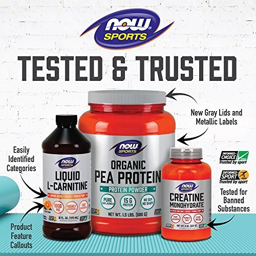 NOW Sports Whey Protein, Creamy Chocolate, 6-Pound Supplement Now Sports 