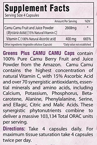 Greens+ Camu Camu Dietary SuperFruit Supplement | 100% Natural Vitamin C | Pure Amazon Camu Berry with Vitamins & Minerals | High ORAC Antioxidants | 400mg Vitamin C | 120 Veggie Capsules Supplement Greens+ 