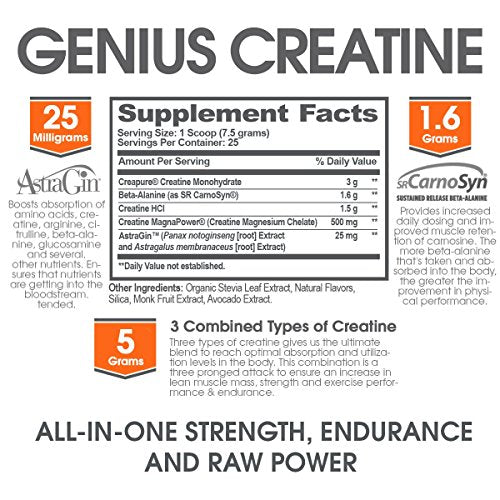 Genius Creatine Powder, Post Workout Supplement For Men and Women with Creapure Monohydrate, Hydrochloride (HCL) MagnaPower and Carnosyn Beta-Alanine SR, Natural Lean Muscle Builder – Sour Apple, 188G Supplement The Genius Brand 