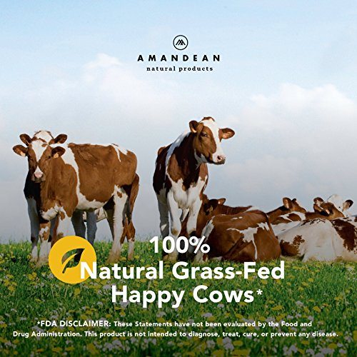 Premium Grass Fed Beef Gelatin Powder (XL 2.2lbs) | Unflavored | Anti-Aging Collagen Protein Supplement | 18 Amino Acids for Healthy Skin, Hair, Joints, Gut | Keto Friendly | Gluten Free & Non GMO Supplement AMANDEAN 