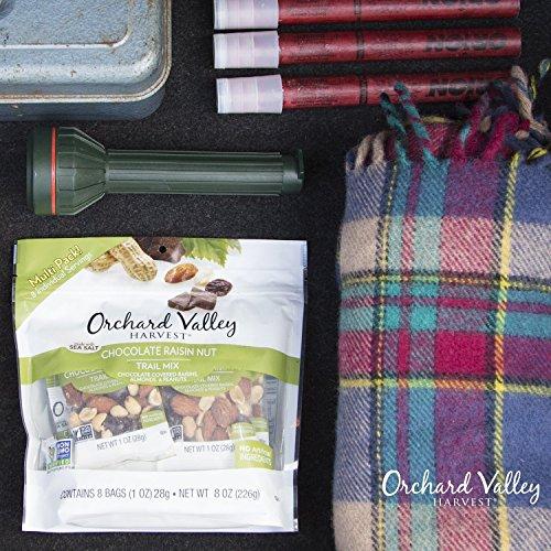 ORCHARD VALLEY HARVEST Chocolate Raisin Nut Trail Mix, 1 oz (8 Pack) Food & Drink Orchard Valley Harvest 