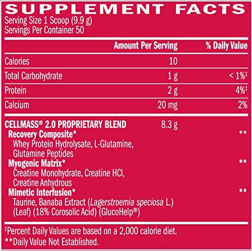 BSN CELLMASS 2.0 - Watermelon, 1.09lb (50 Servings) Supplement BSN 