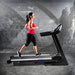 XTERRA Fitness TR6.6 Folding Treadmill Sport & Recreation XTERRA Fitness 