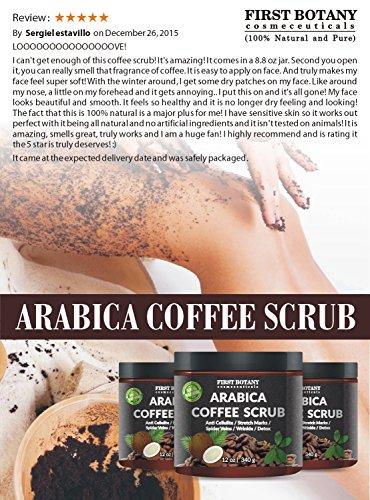 100% Natural Arabica Coffee Scrub with Organic Coffee, Coconut and Shea Butter - Best Acne, Anti Cellulite and Stretch Mark treatment, Spider Vein Therapy for Varicose Veins & Eczema (12 oz) Skin Care First Botany Cosmeceuticals 