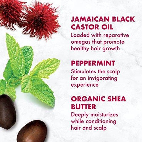 SheaMoisture Jamaican Black Castor Oil Shampoo, 16.3 Ounce Hair Care Shea Moisture 