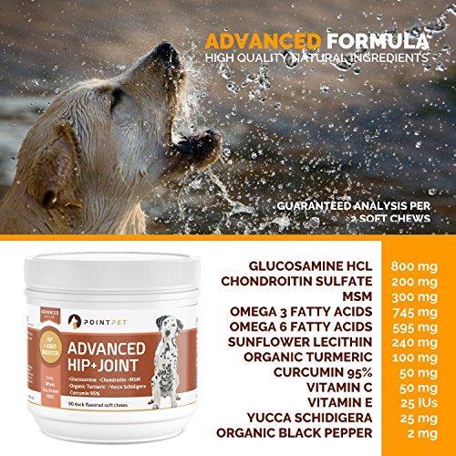 POINTPET Advanced Hip and Joint Supplement for Dogs with Glucosamine, MSM, Chondroitin, Omega 3, 6, Organic Turmeric, Improves Mobility and Hip Dysplasia, Arthritis Pain Relief, 90 Soft Chews Animal Wellness POINTPET 