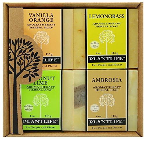 Aromatherapy Herbal Soap Top 4 Pack Soap Combo Fruit Gift Set (Vanilla Orange, Lemongrass, Coconut Lime and Ambrosia) Natural Soap Plantlife 