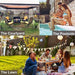 Patio Furniture Set 4 Piece Outdoor Wicker Sofas Rattan Chair Wicker Conversation Set Coffee Table Bistro Sets for Pool Backyard Lawn (Black) Lawn & Patio FDW 