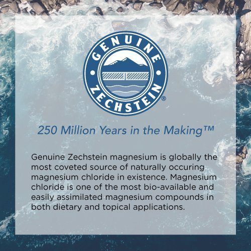 Ancient Minerals Magnesium Oil Spray Bottle of Pure Genuine Zechstein Magnesium Chloride - Topical Magnesium Supplement for Skin Application and Dermal Absorption (33.8oz) Supplement Ancient Minerals 