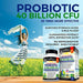 Probiotic 40 Billion CFU Supplement BioSchwartz 