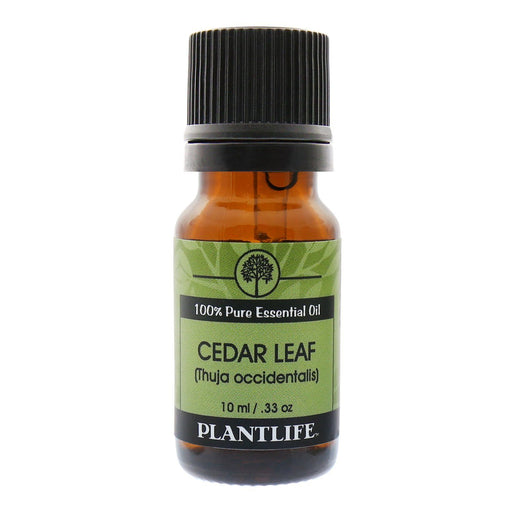 Plantlife 100% Pure Cedar Leaf Essential Oil-10ml Essential Oil Plantlife 