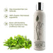Rosemary & Mint Shampoo Hair Care Bio Follicle 